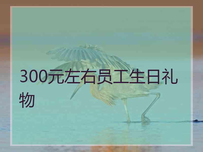 300元左右员工生日礼物