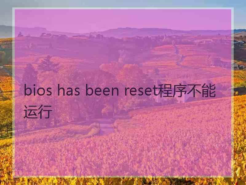 bios has been reset程序不能运行