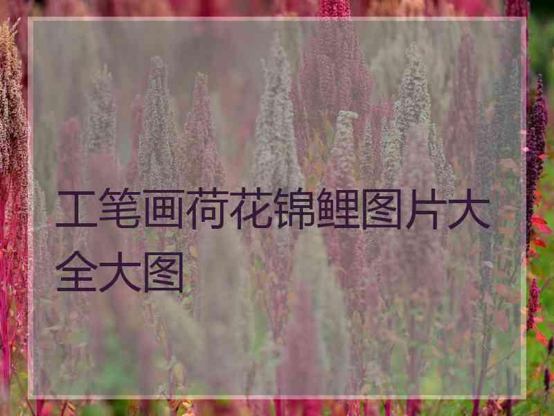 工笔画荷花锦鲤图片大全大图