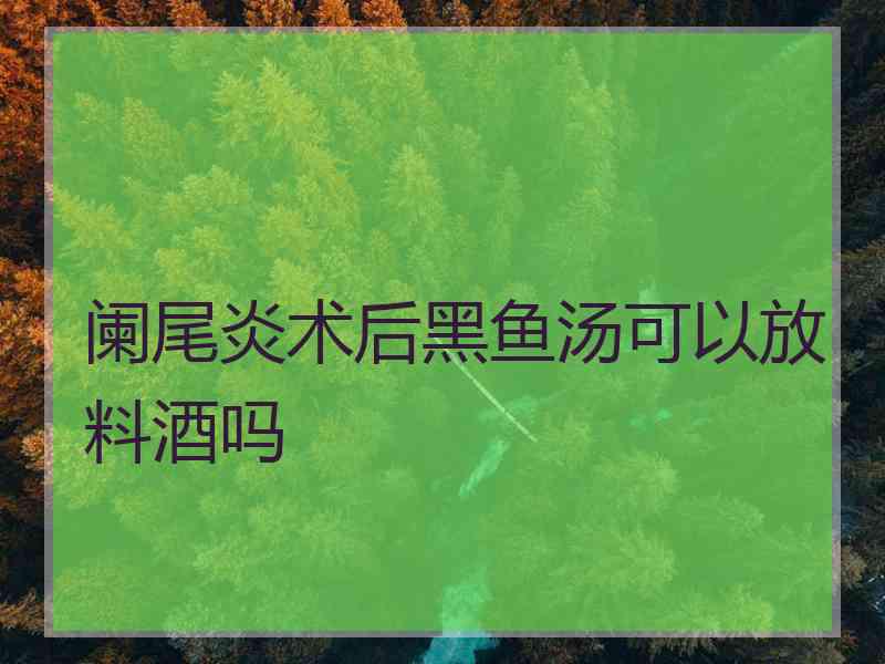 阑尾炎术后黑鱼汤可以放料酒吗