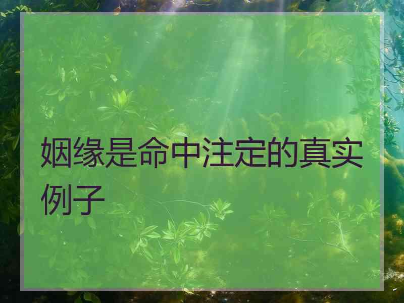 姻缘是命中注定的真实例子