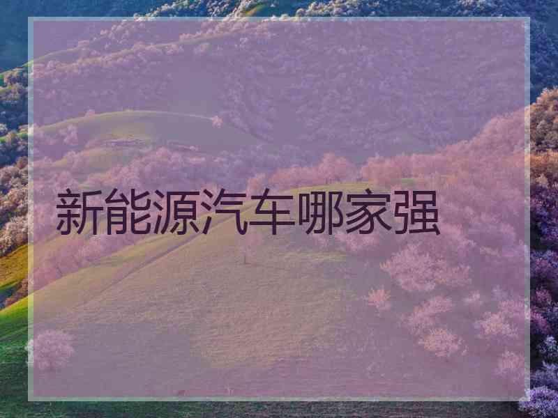 新能源汽车哪家强