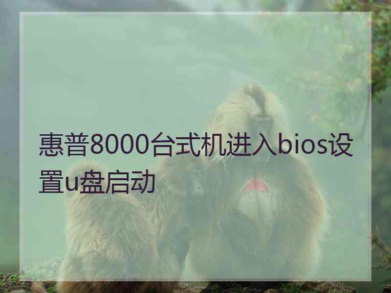 惠普8000台式机进入bios设置u盘启动